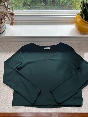 Babaton long sleeve Murphy blouse